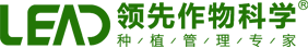 領先官網(wǎng)